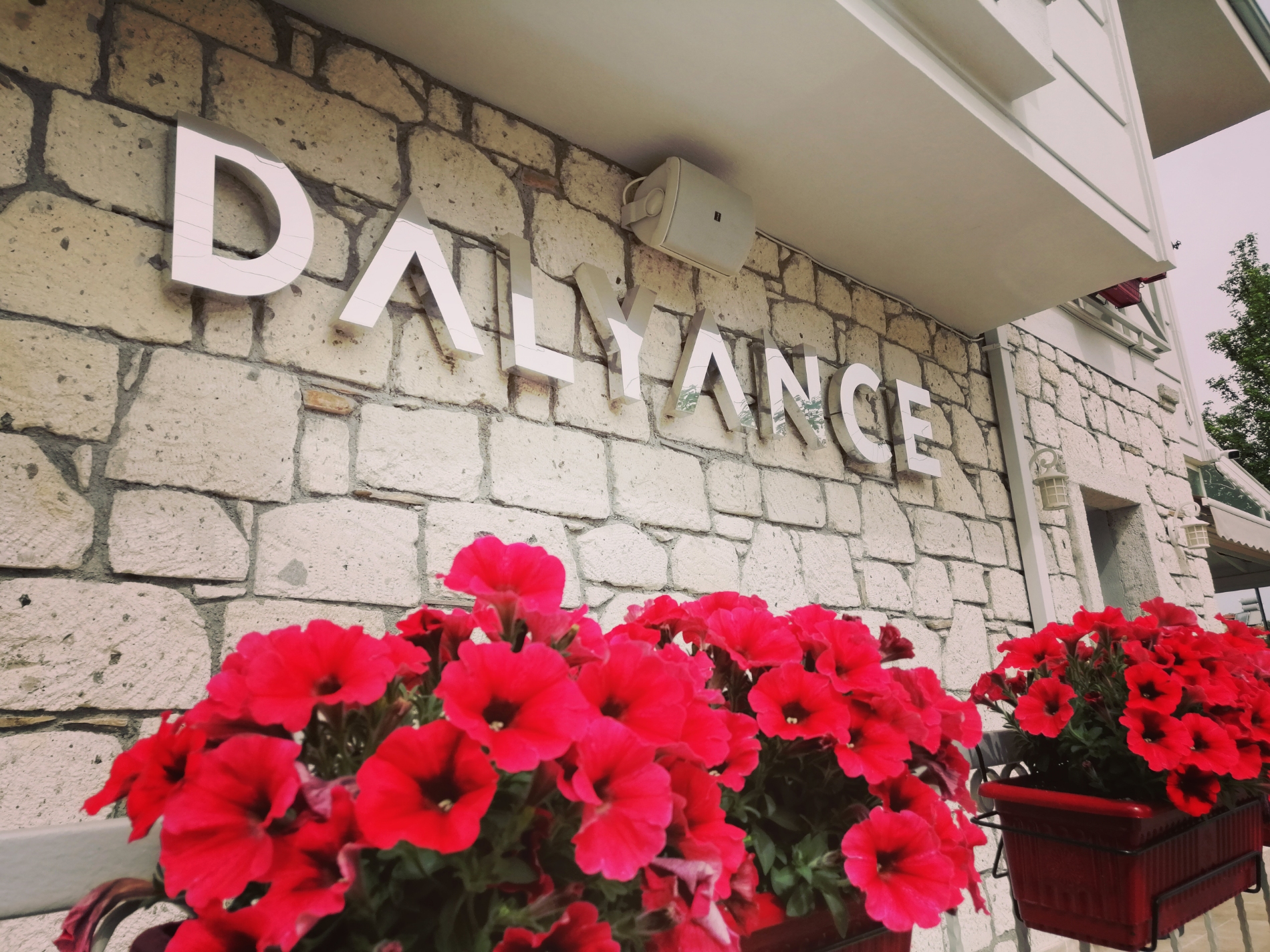 Welcome To Hotel Dalyance & Bistro